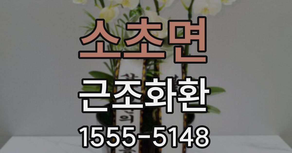 소초면 근조화환