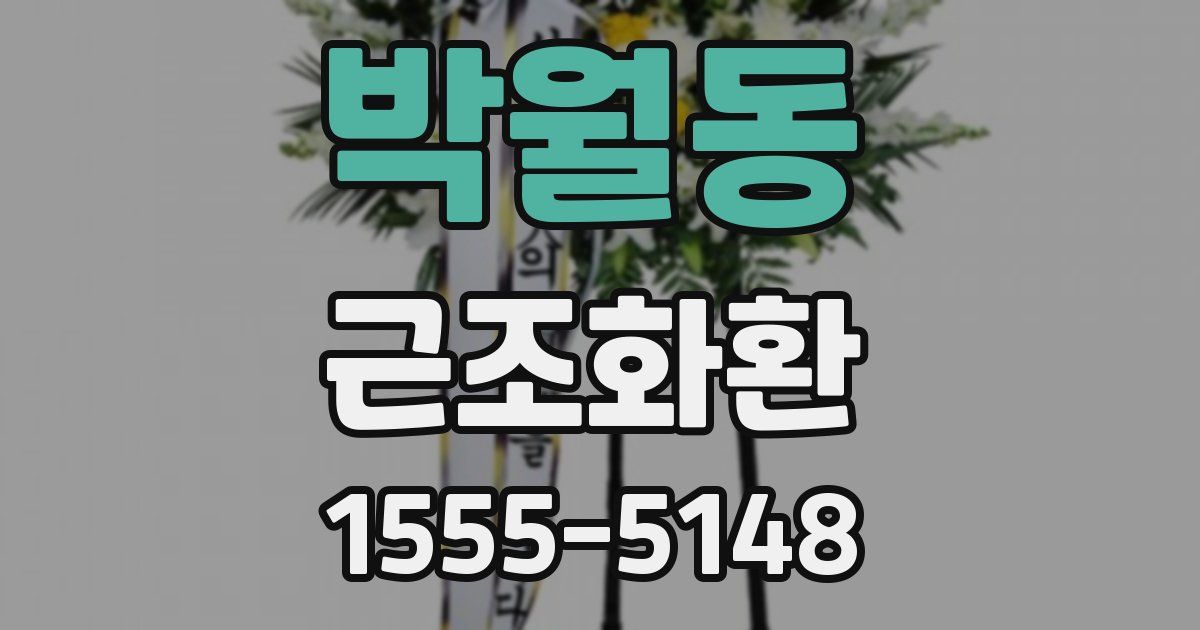박월동 근조화환