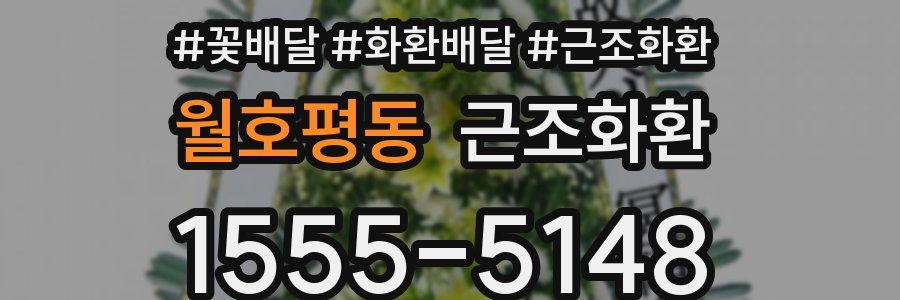 월호평동 근조화환