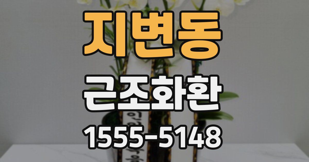 지변동 근조화환