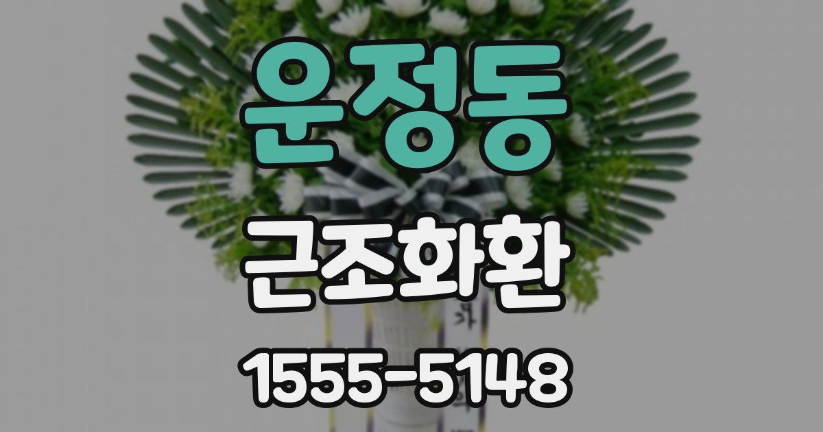 운정동 근조화환
