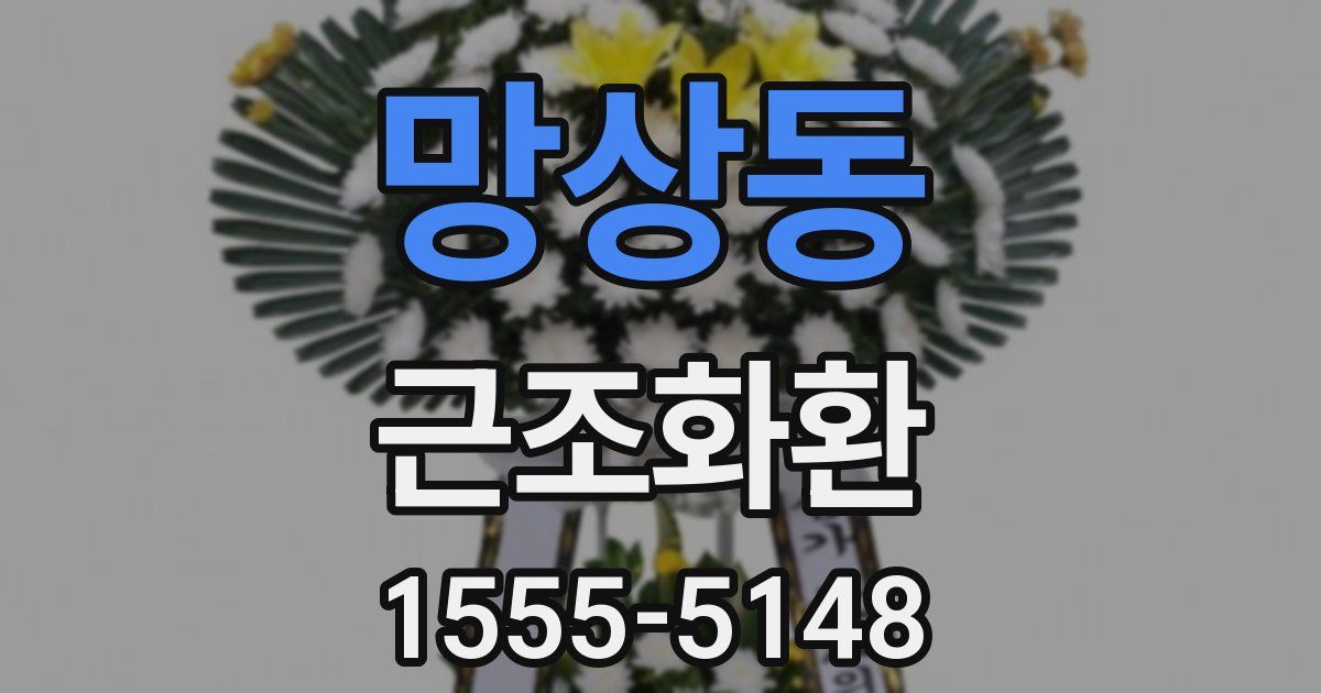 망상동 근조화환