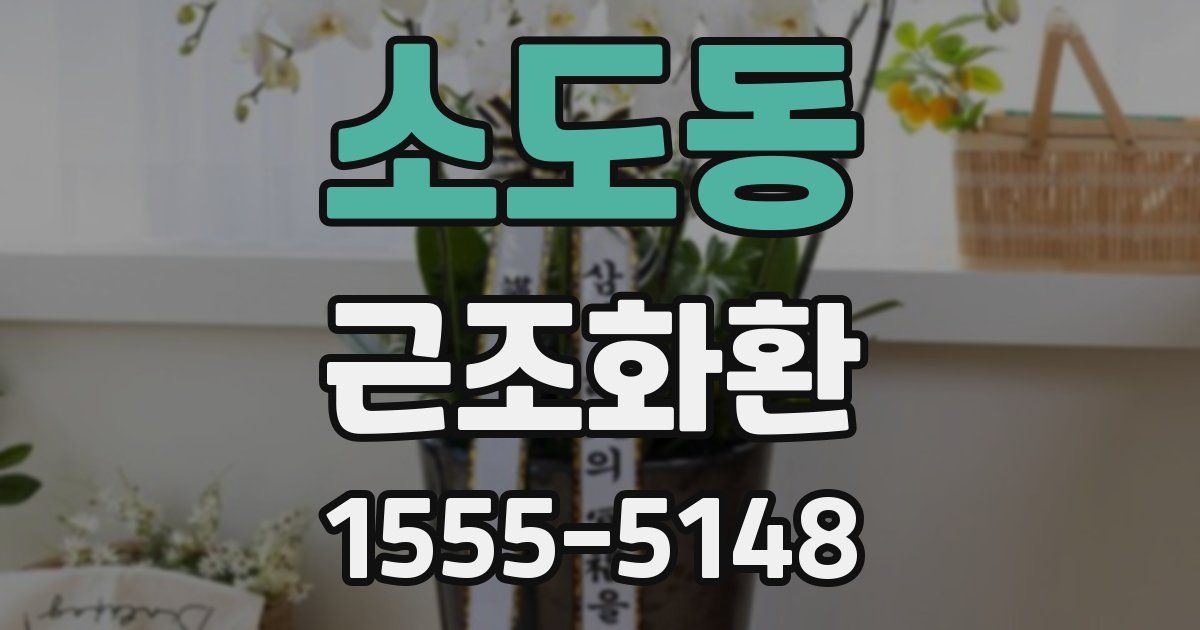 소도동 근조화환