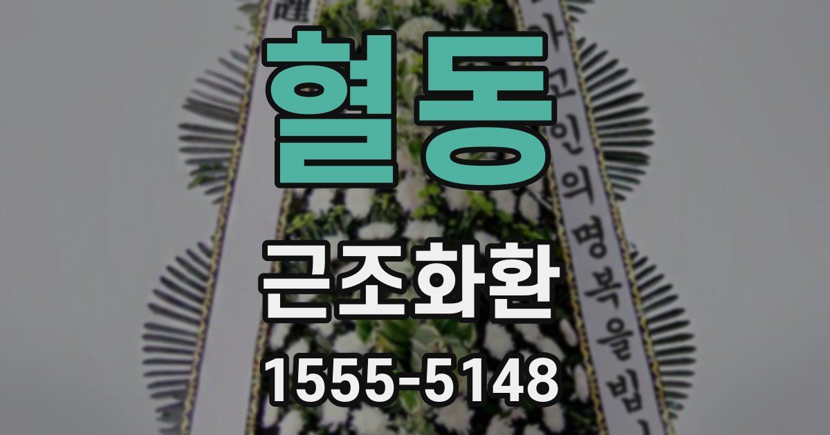 혈동 근조화환