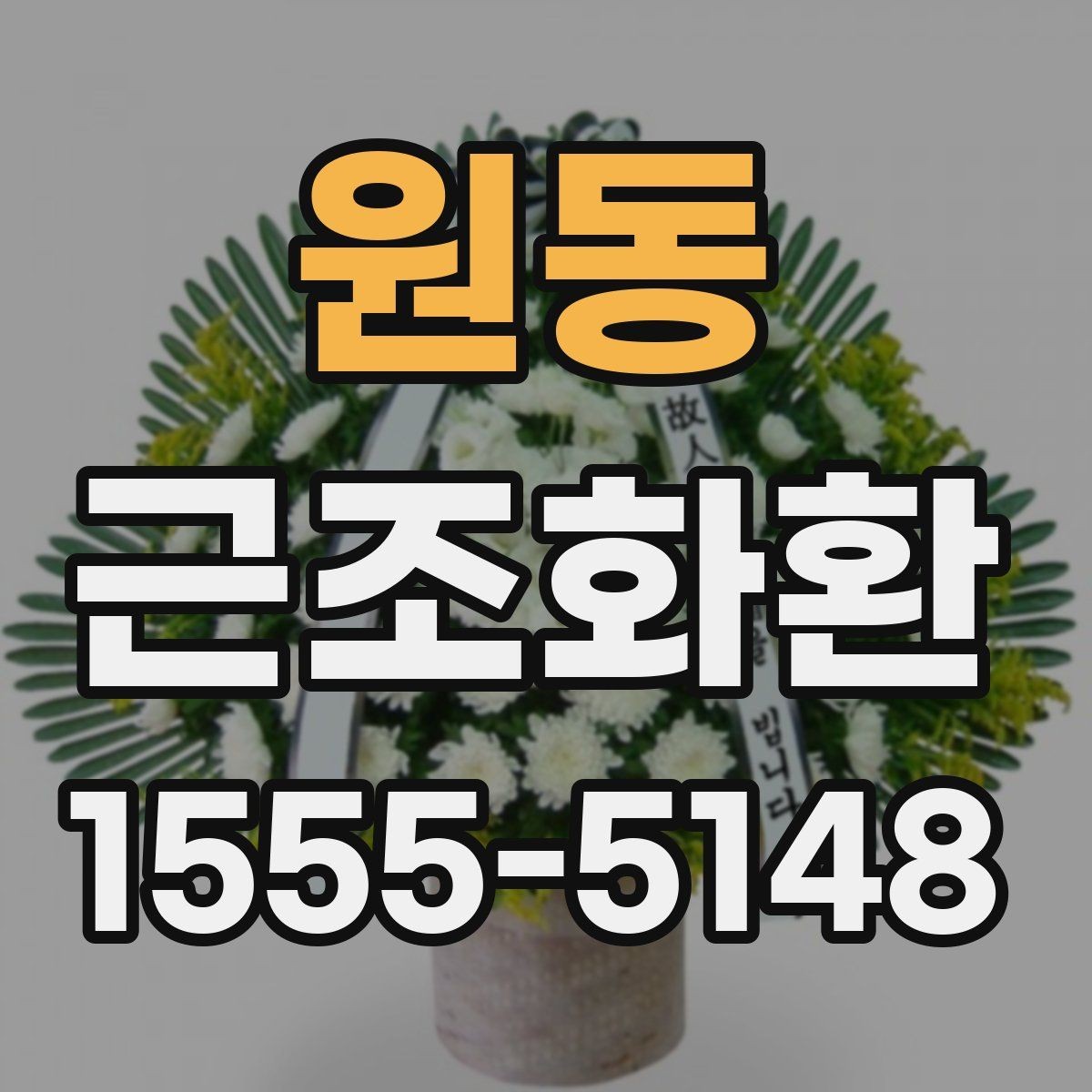 원동 근조화환 지역 내 당일 배송 가능 여부 확인하기