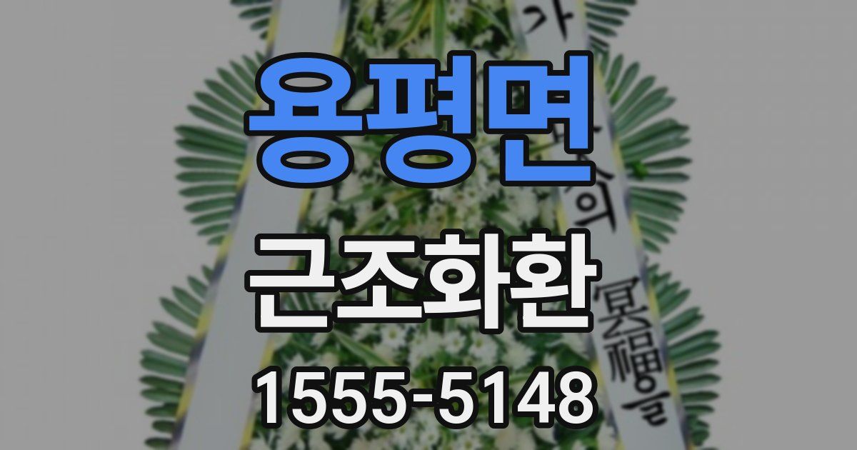 용평면 근조화환