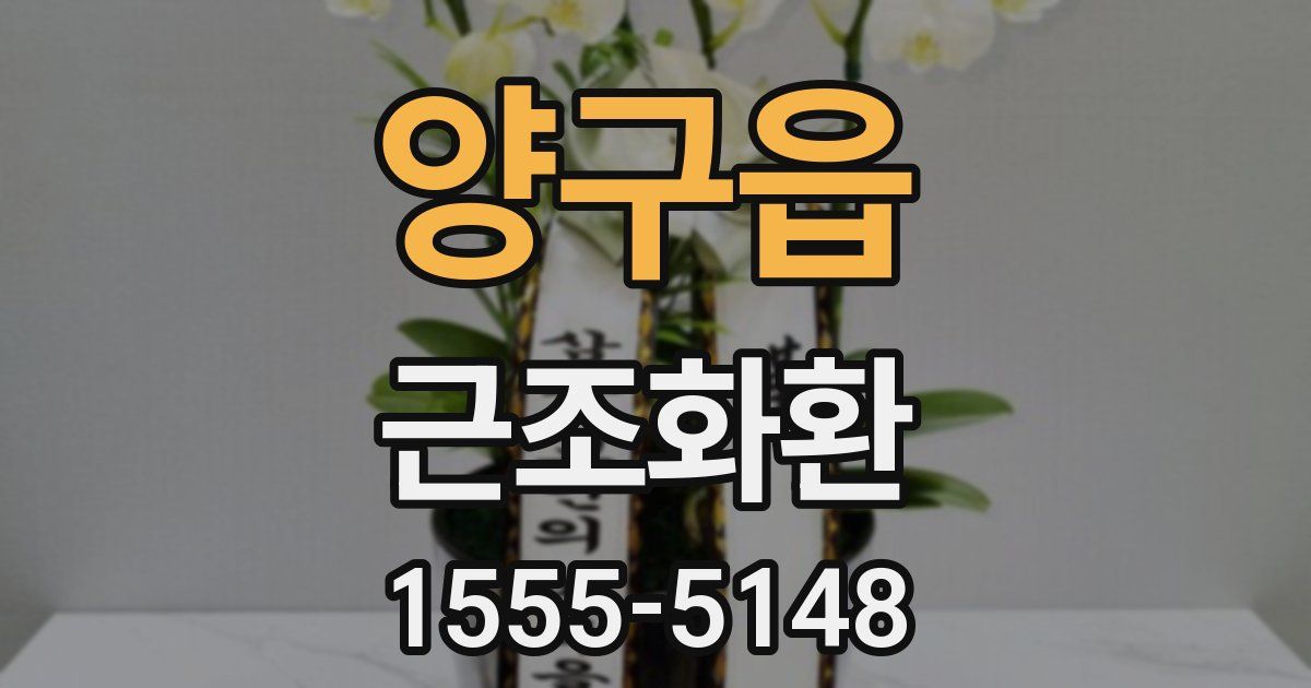 양구읍 근조화환