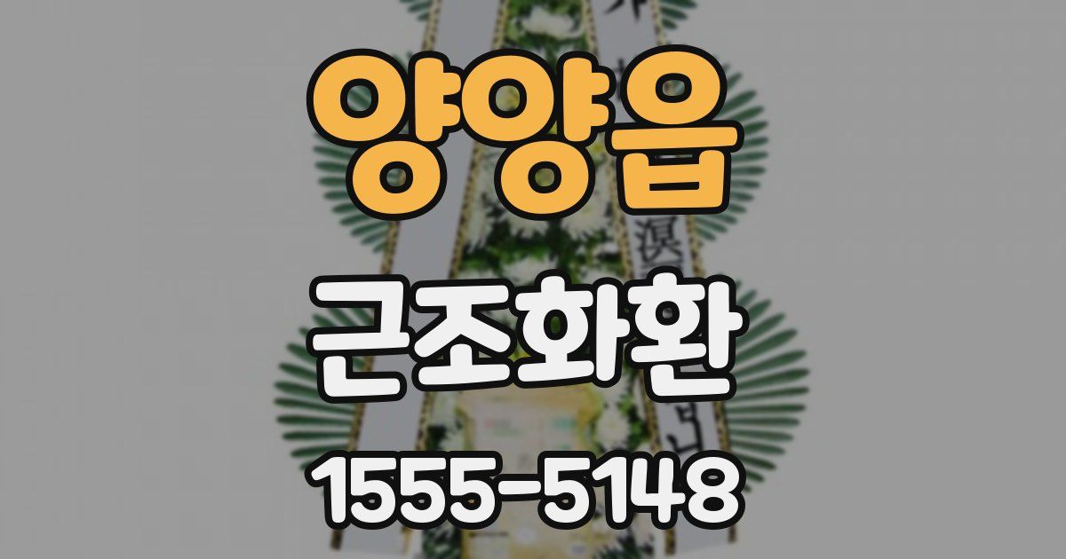양양읍 근조화환