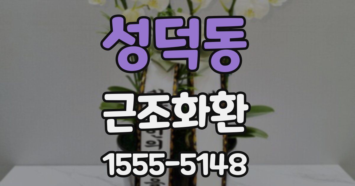 성덕동 근조화환