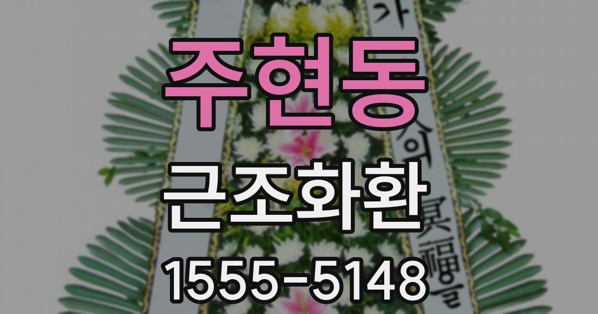 주현동 근조화환