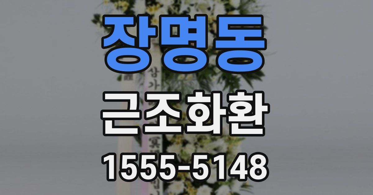 장명동 근조화환