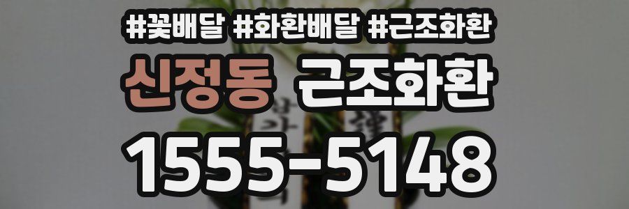 신정동 근조화환