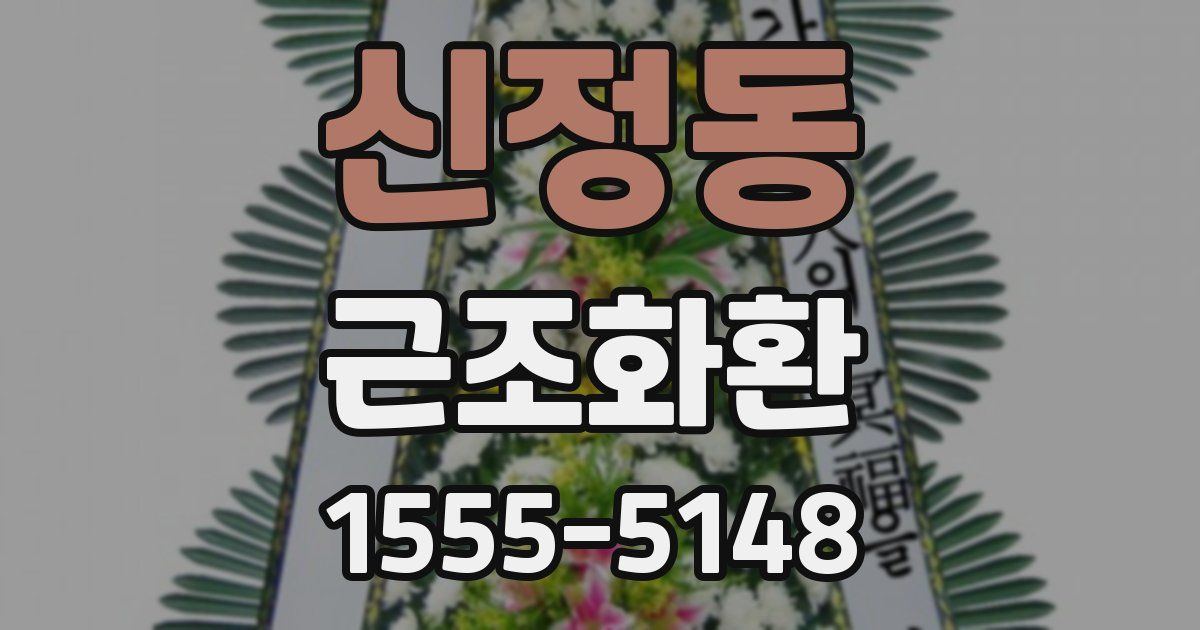 신정동 근조화환