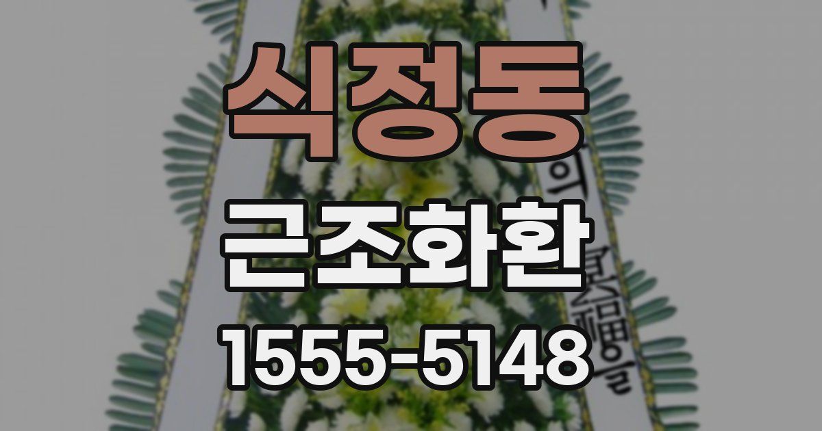 식정동 근조화환