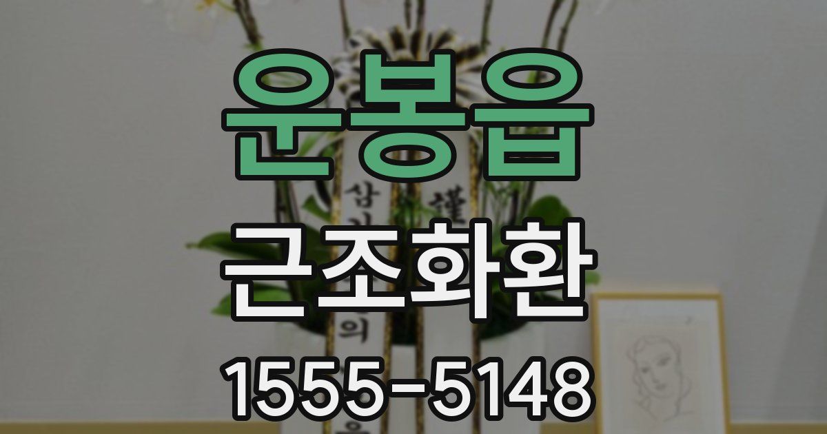 운봉읍 근조화환