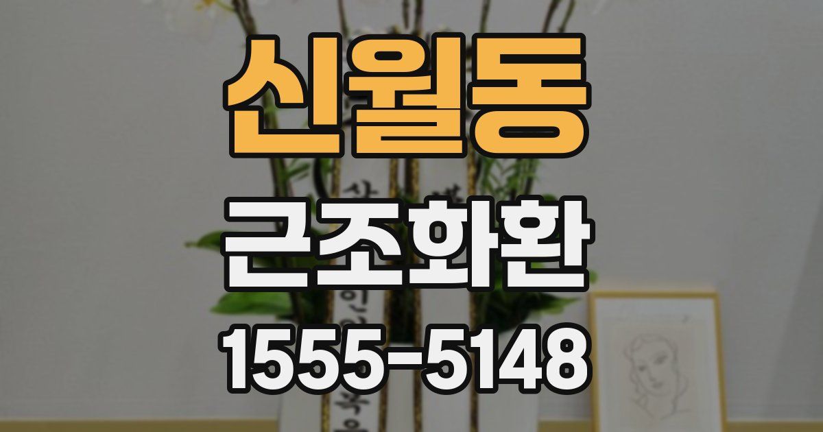 신월동 근조화환