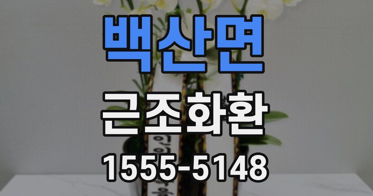 백산면 근조화환