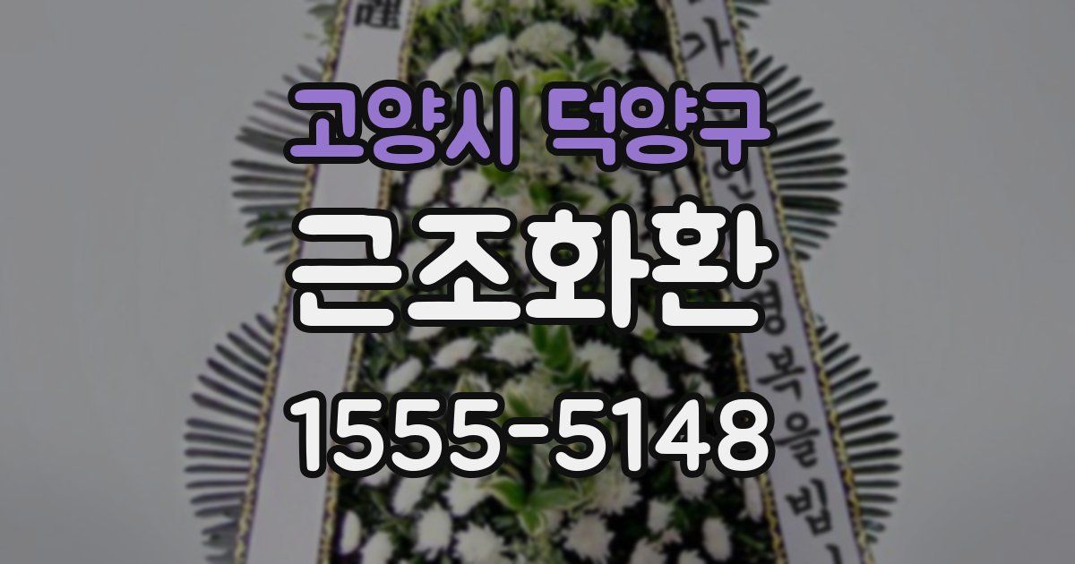 고양시 덕양구 근조화환