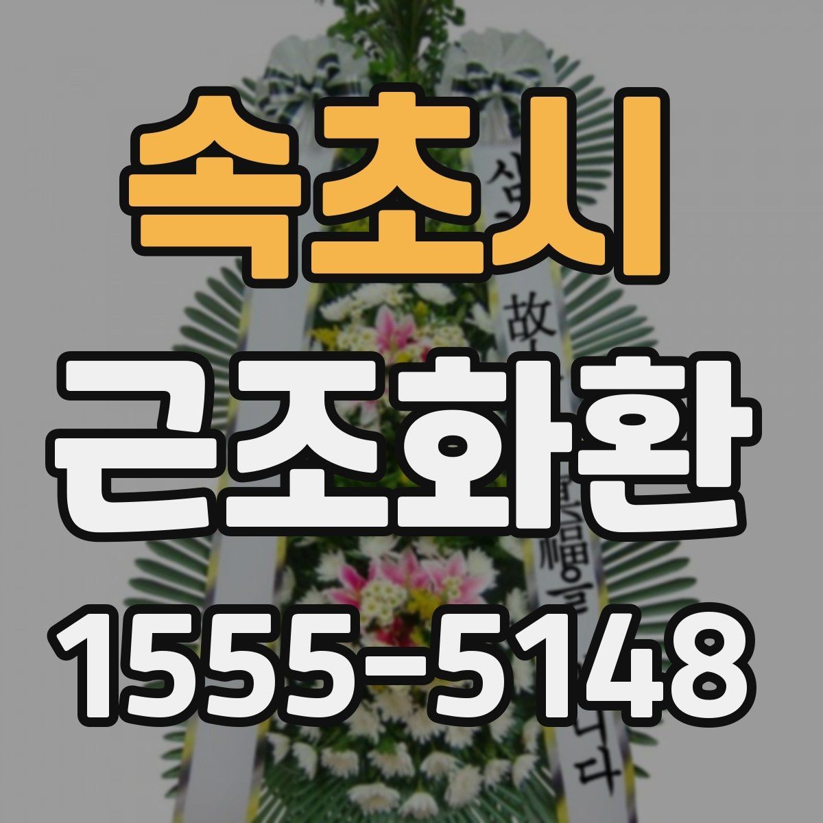 속초시 근조화환 비교할 때 놓치기 쉬운 체크포인트
