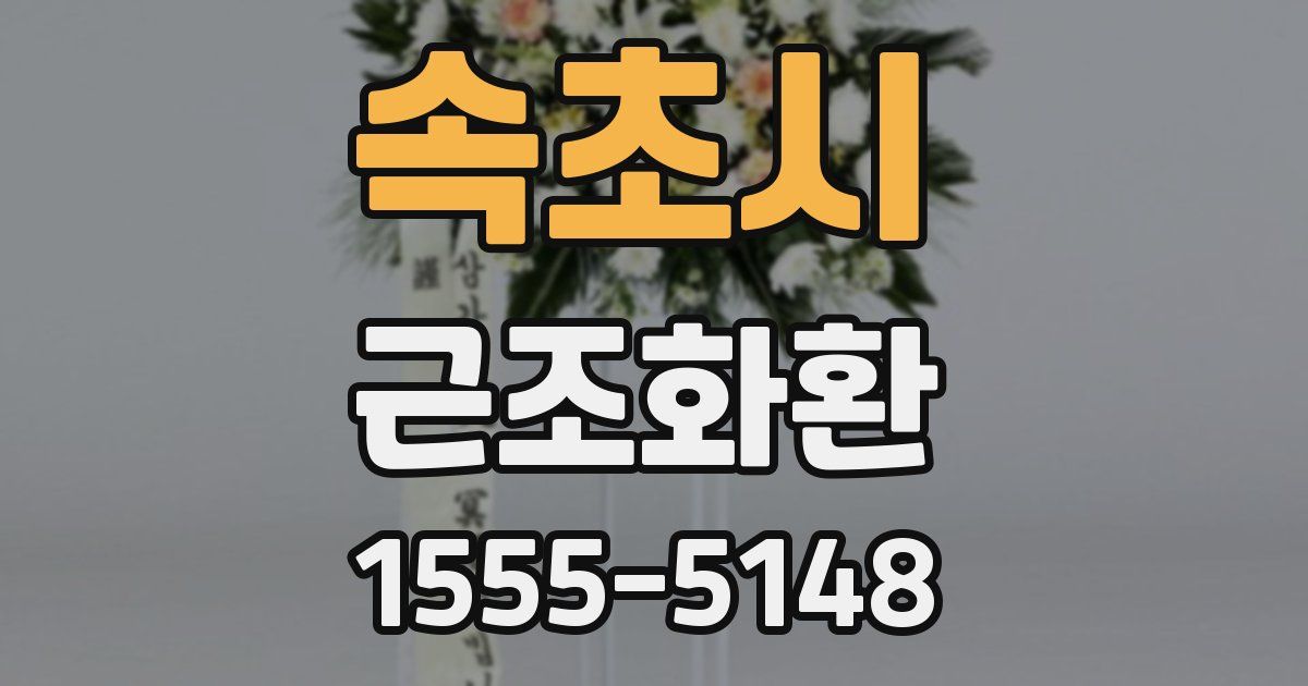 속초시 근조화환