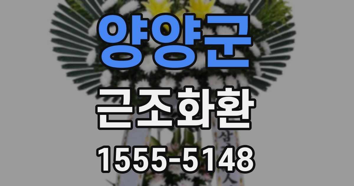 양양군 근조화환