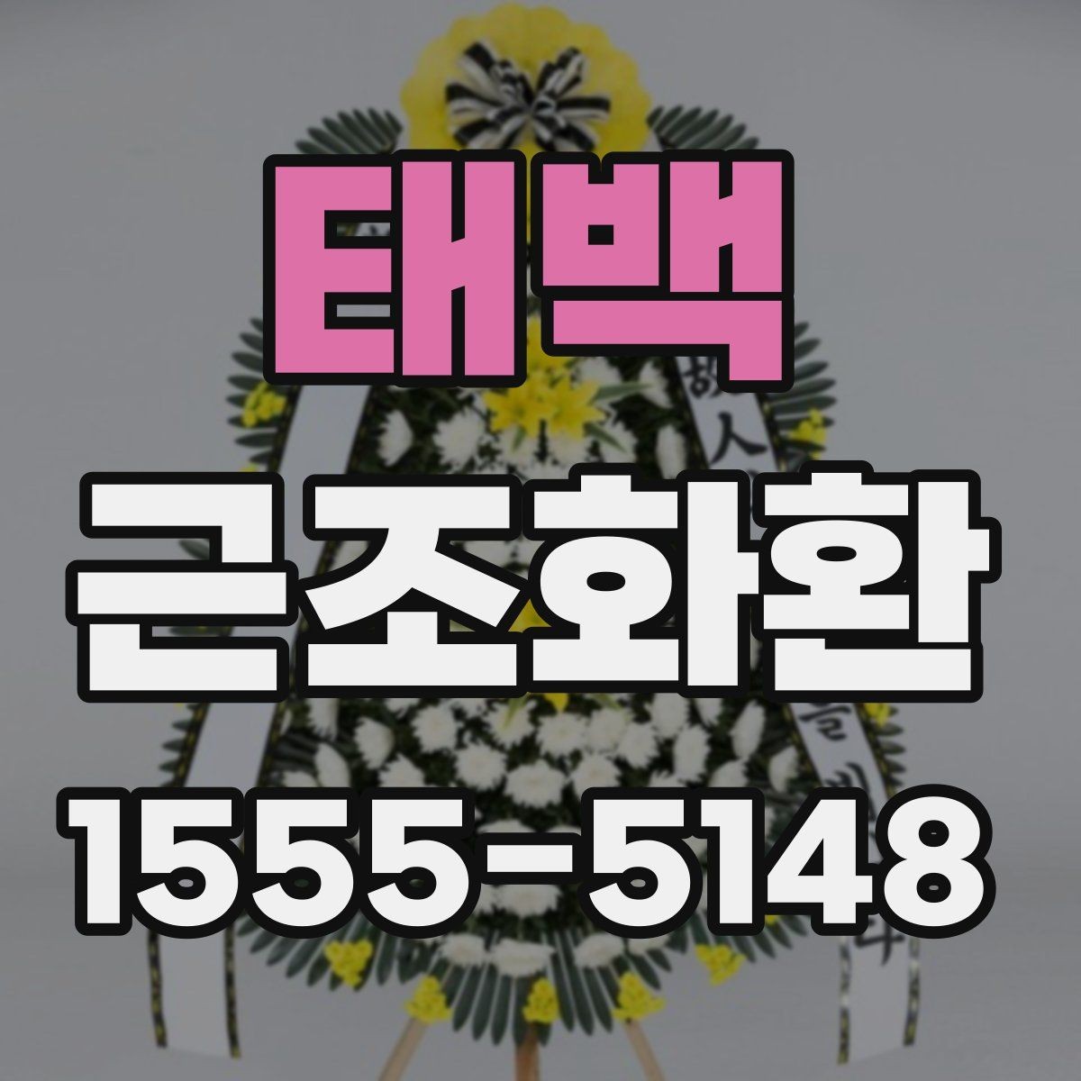 태백 근조화환 업체 선택 시 비교해볼 항목들