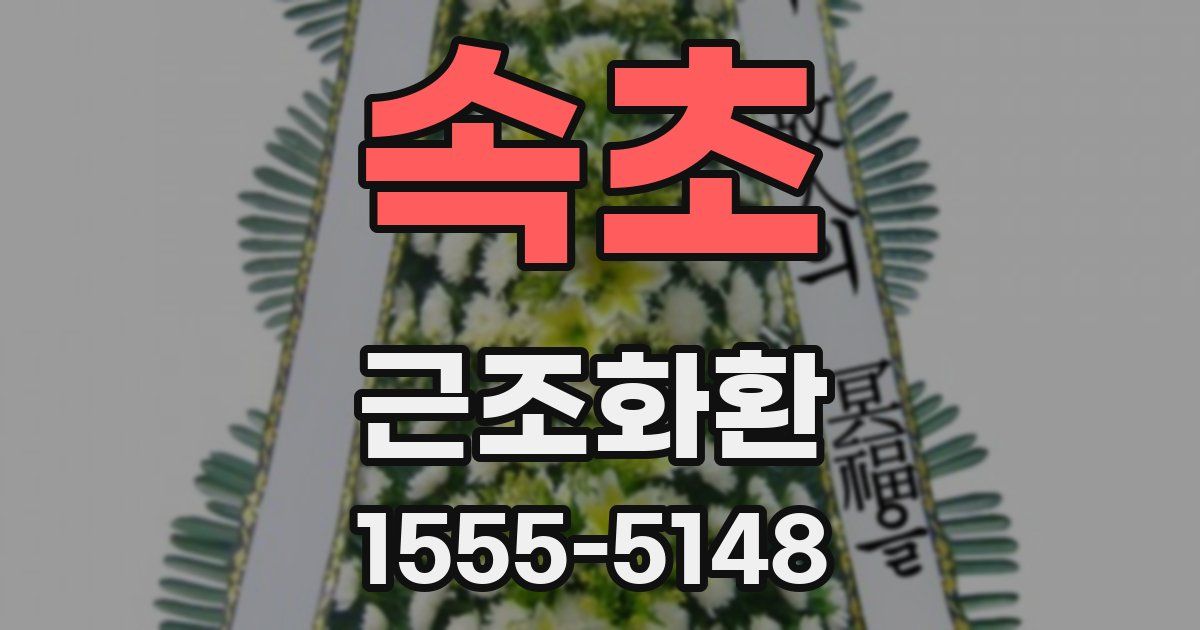 속초 근조화환
