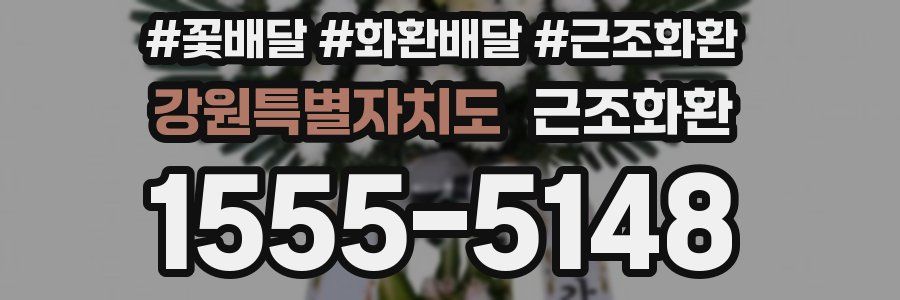 강원특별자치도 근조화환