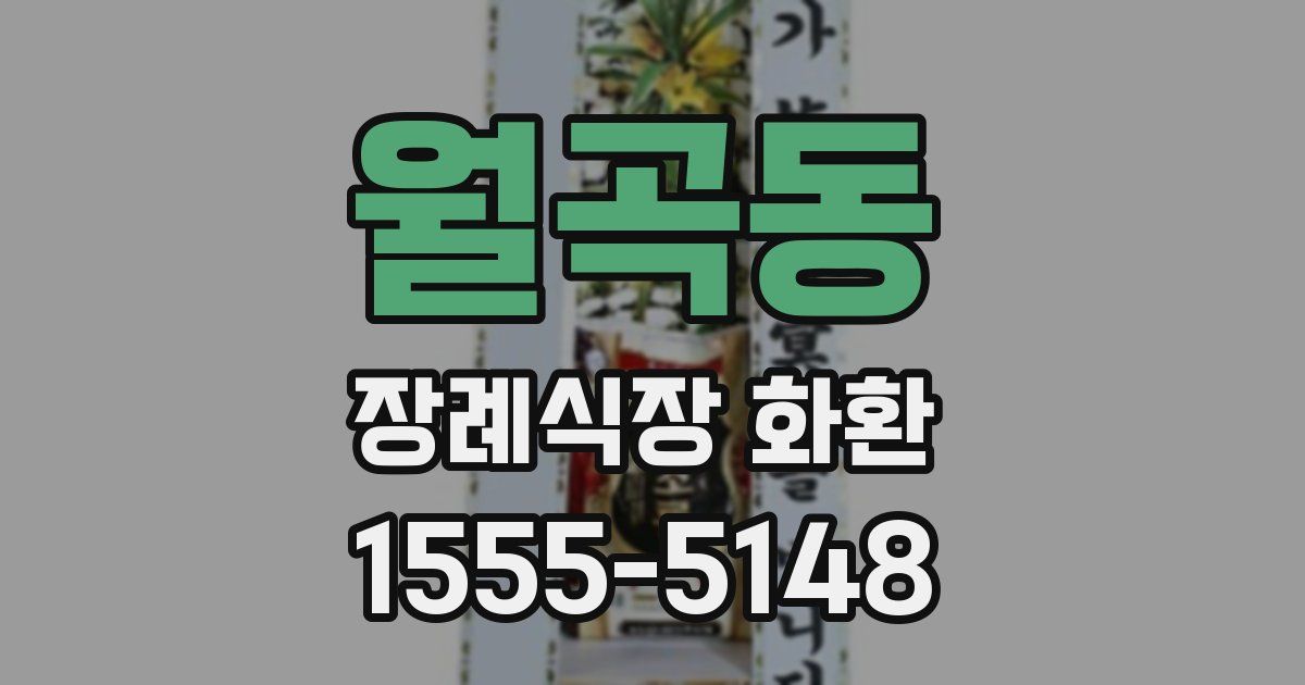 월곡동 장례식장 화환