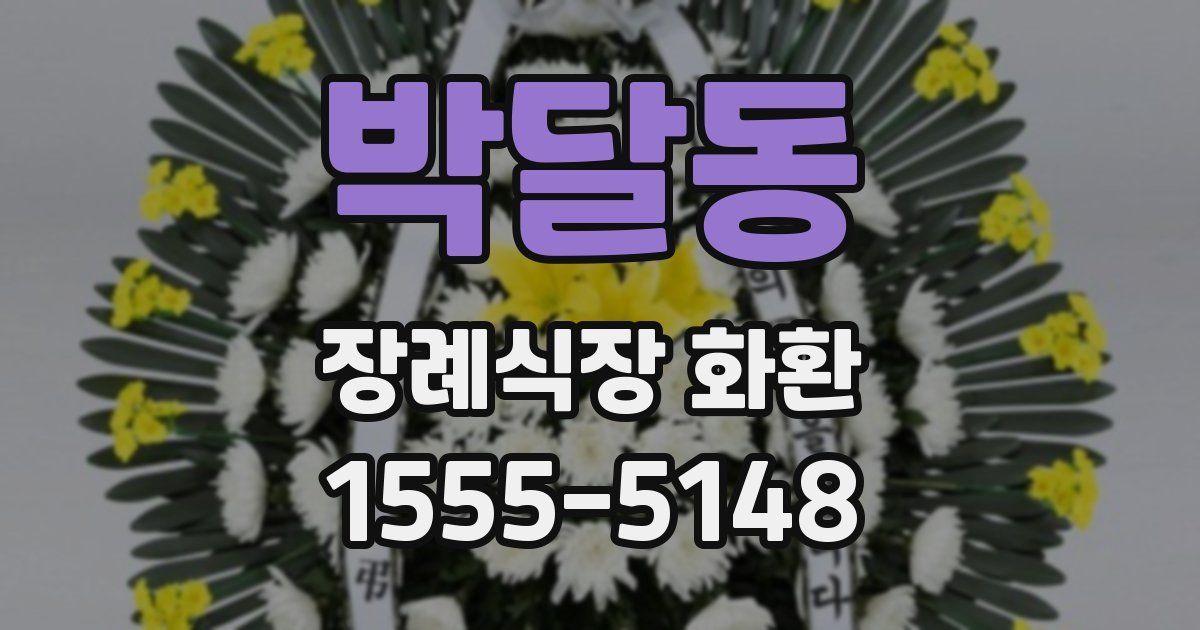 박달동 장례식장 화환