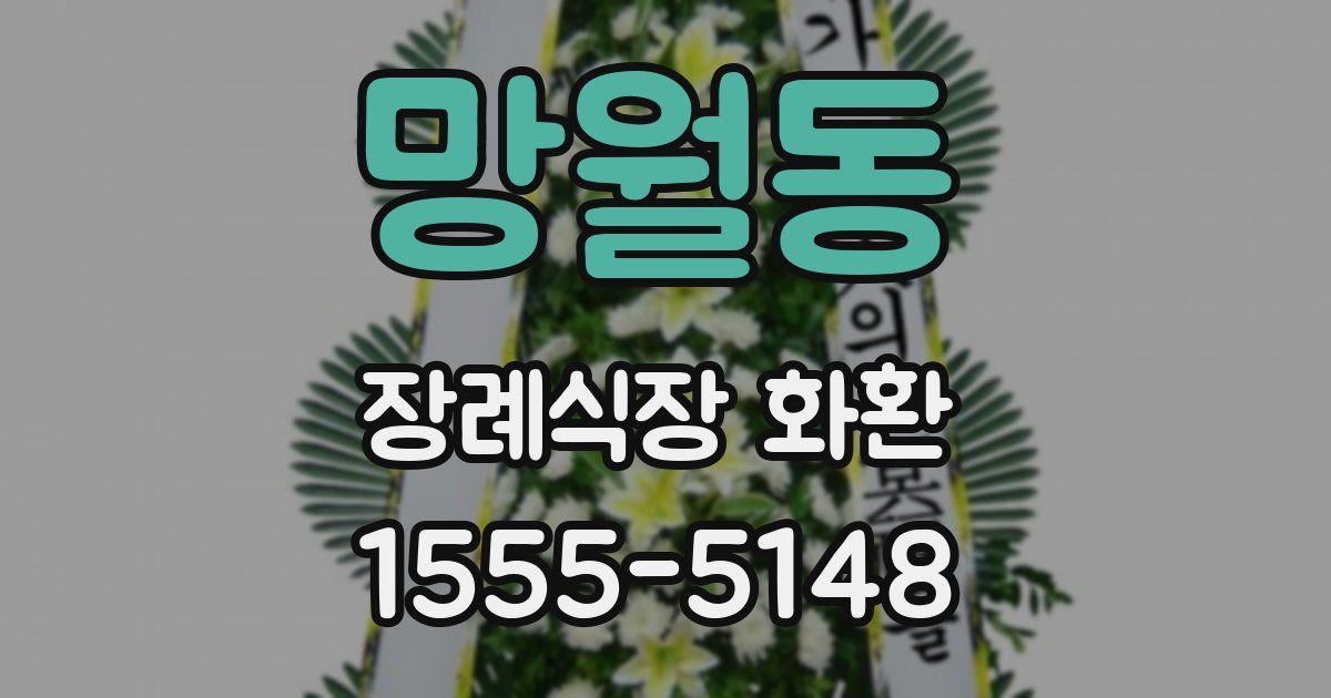 망월동 장례식장 화환