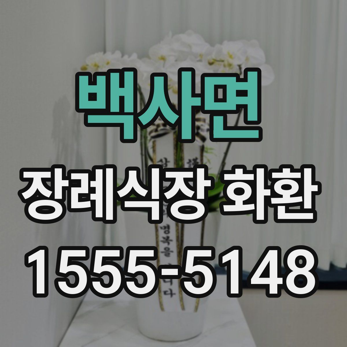 백사면 장례식장 화환