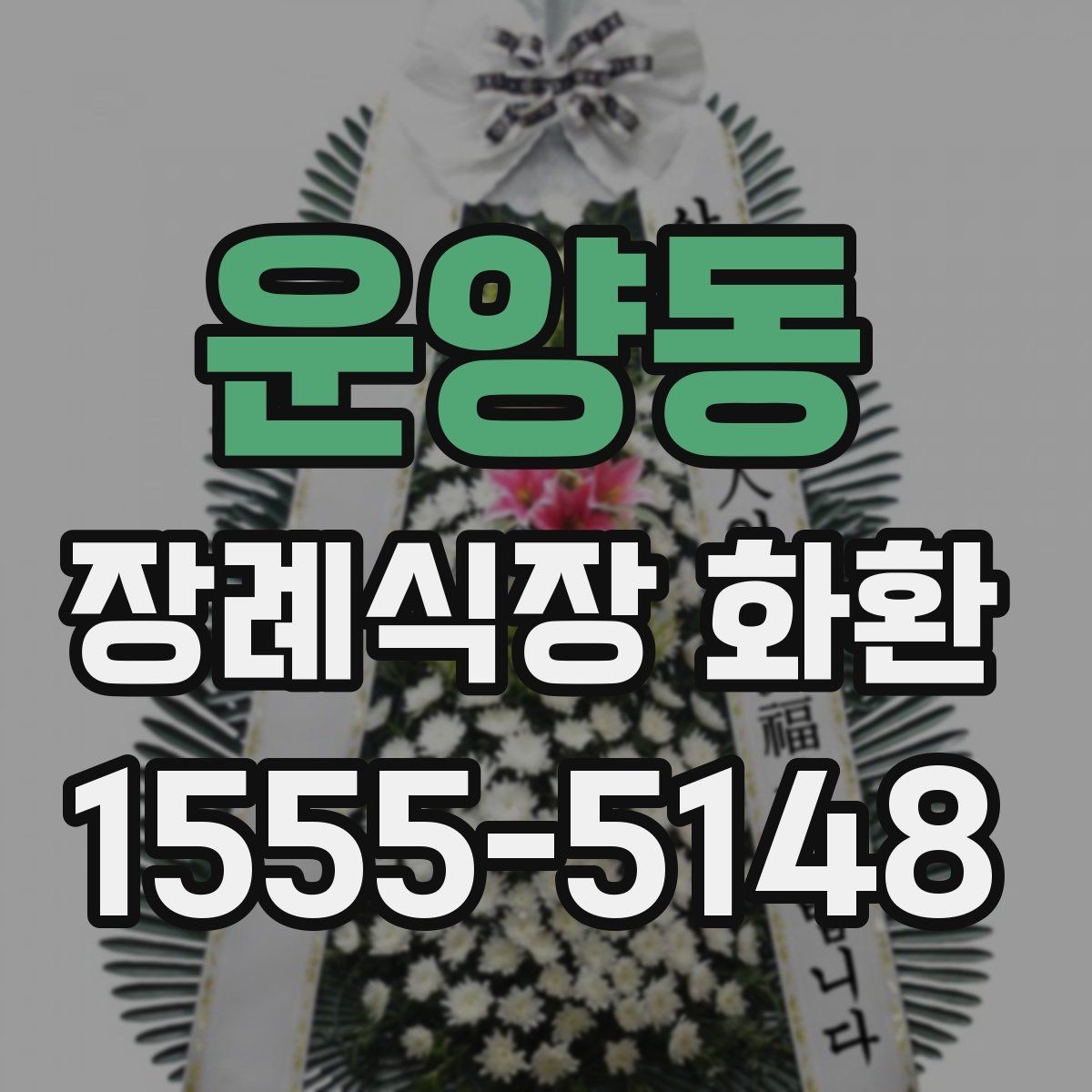 운양동 장례식장 화환 화환 종류별 분위기와 쓰임새