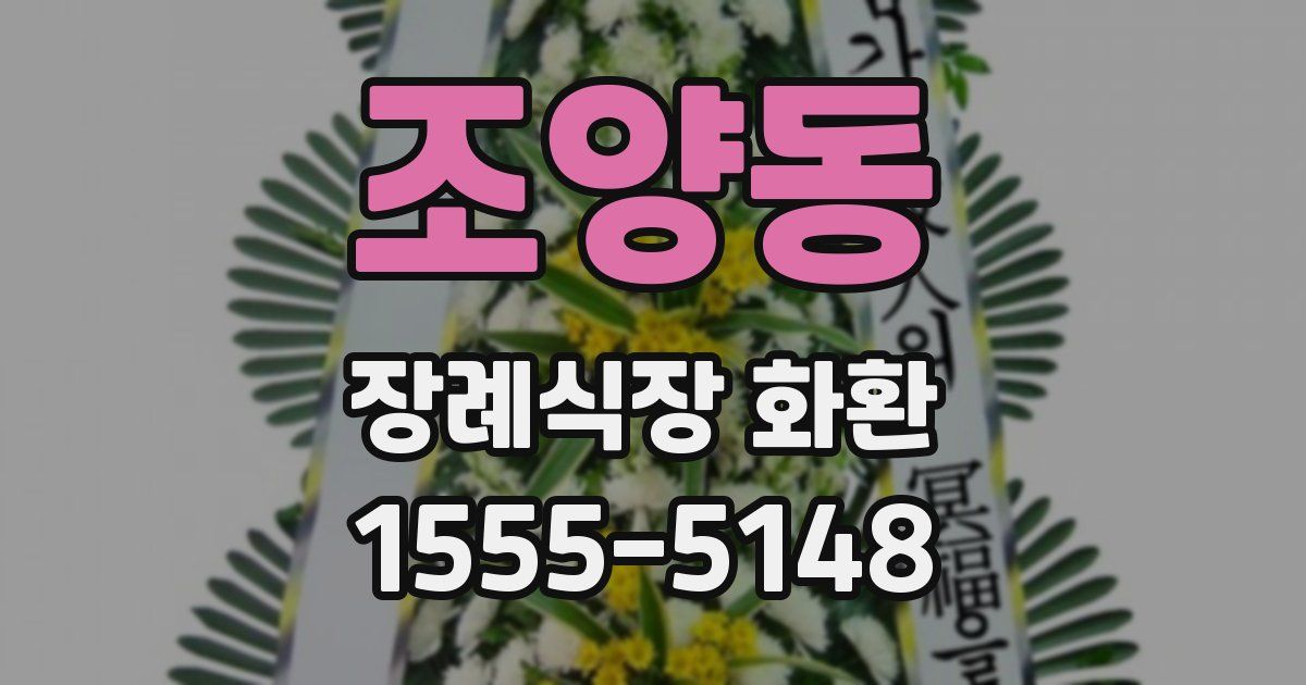 조양동 장례식장 화환