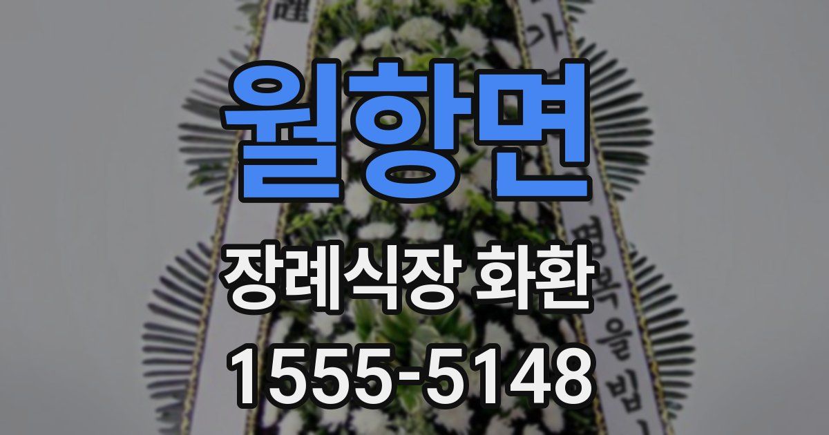 월항면 장례식장 화환