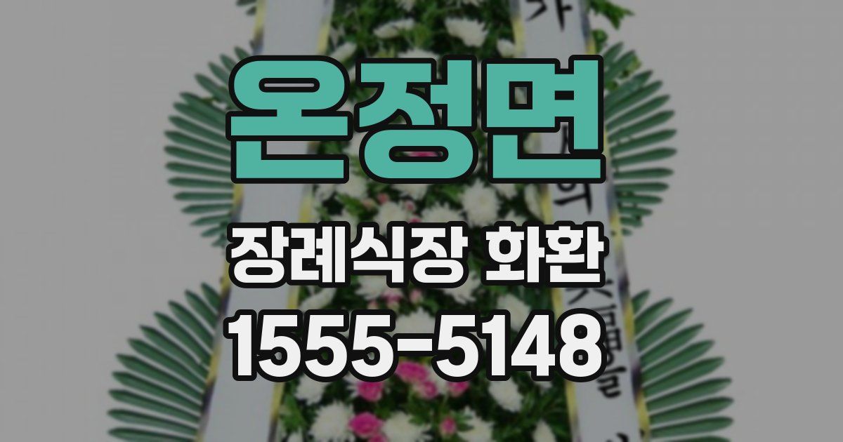 온정면 장례식장 화환