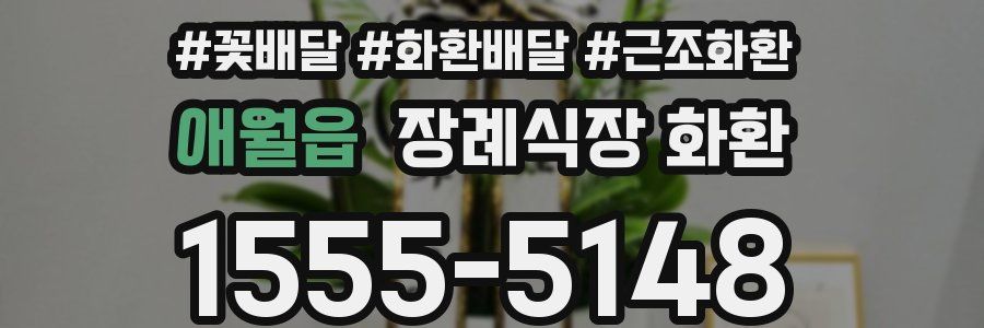 애월읍 장례식장 화환