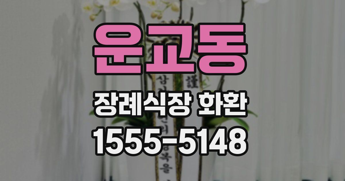 운교동 장례식장 화환