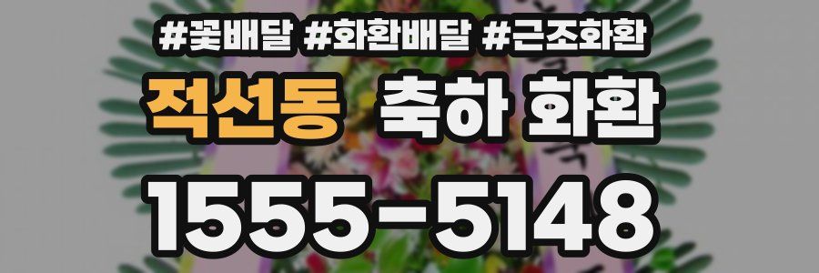 적선동 축하 화환