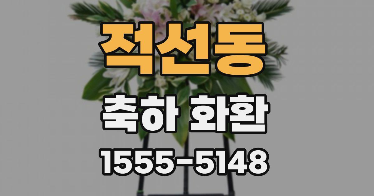 적선동 축하 화환