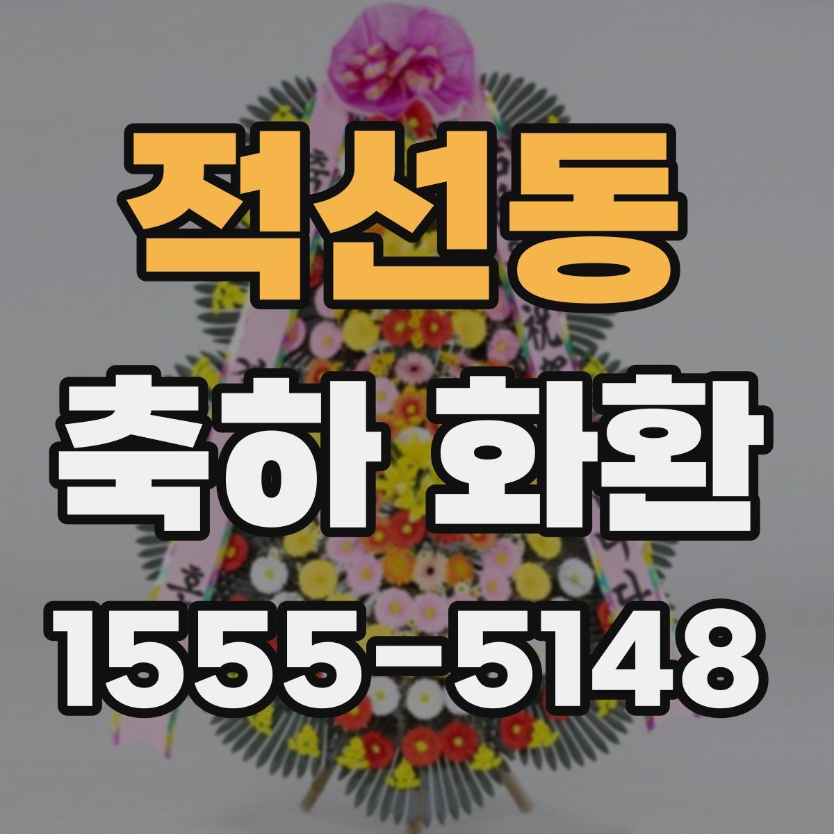 적선동 축하 화환