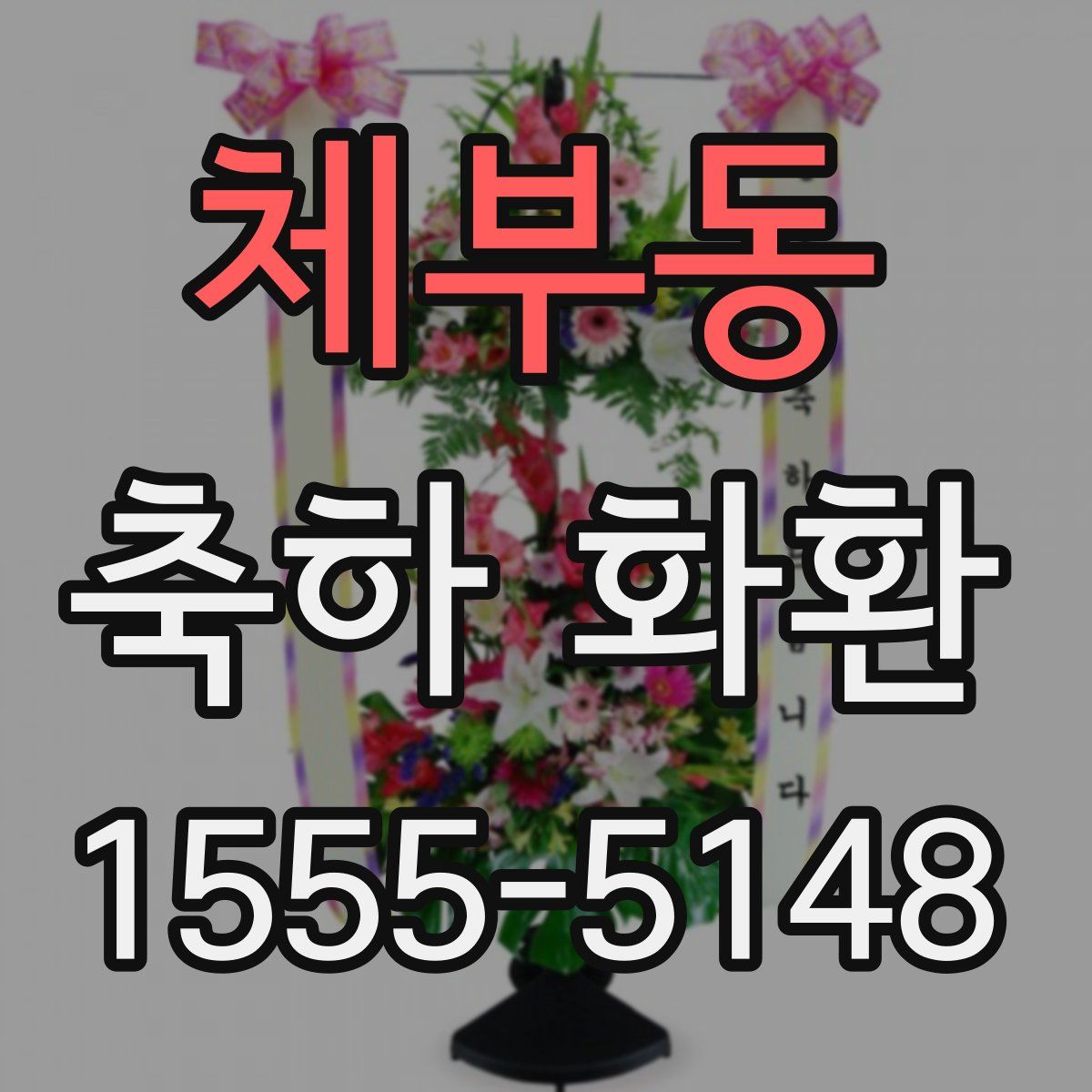 체부동 축하 화환