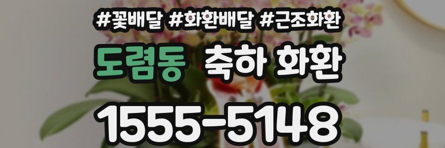도렴동 축하 화환