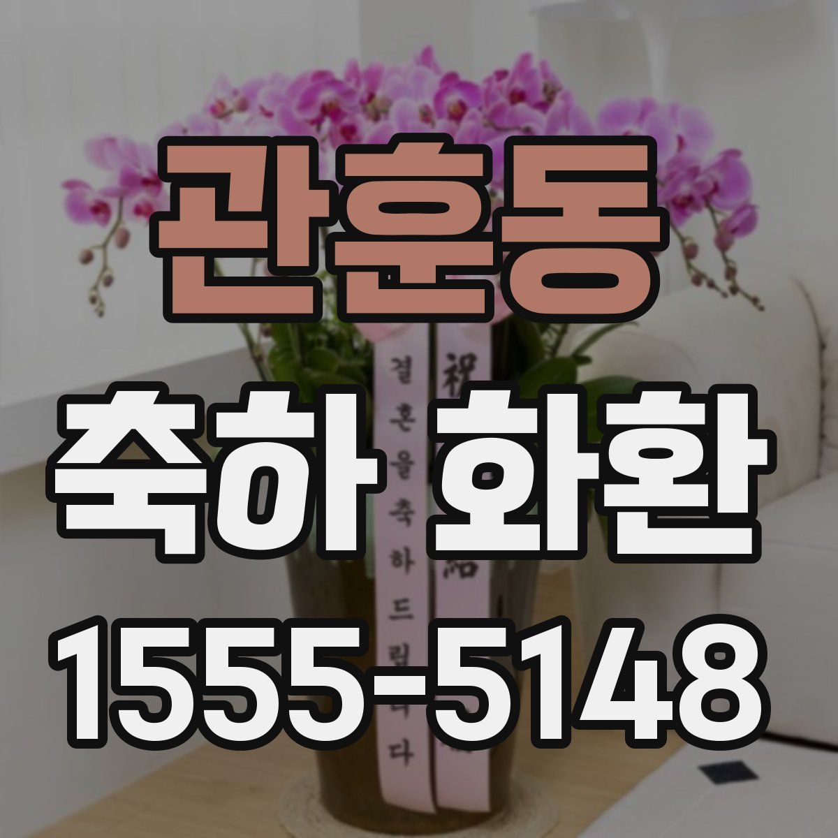 관훈동 축하 화환