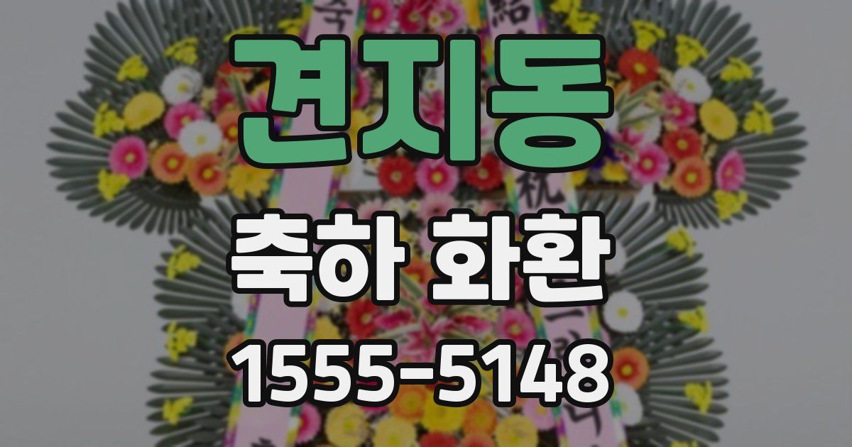 견지동 축하 화환