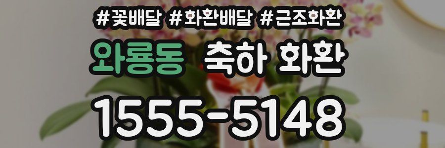 와룡동 축하 화환