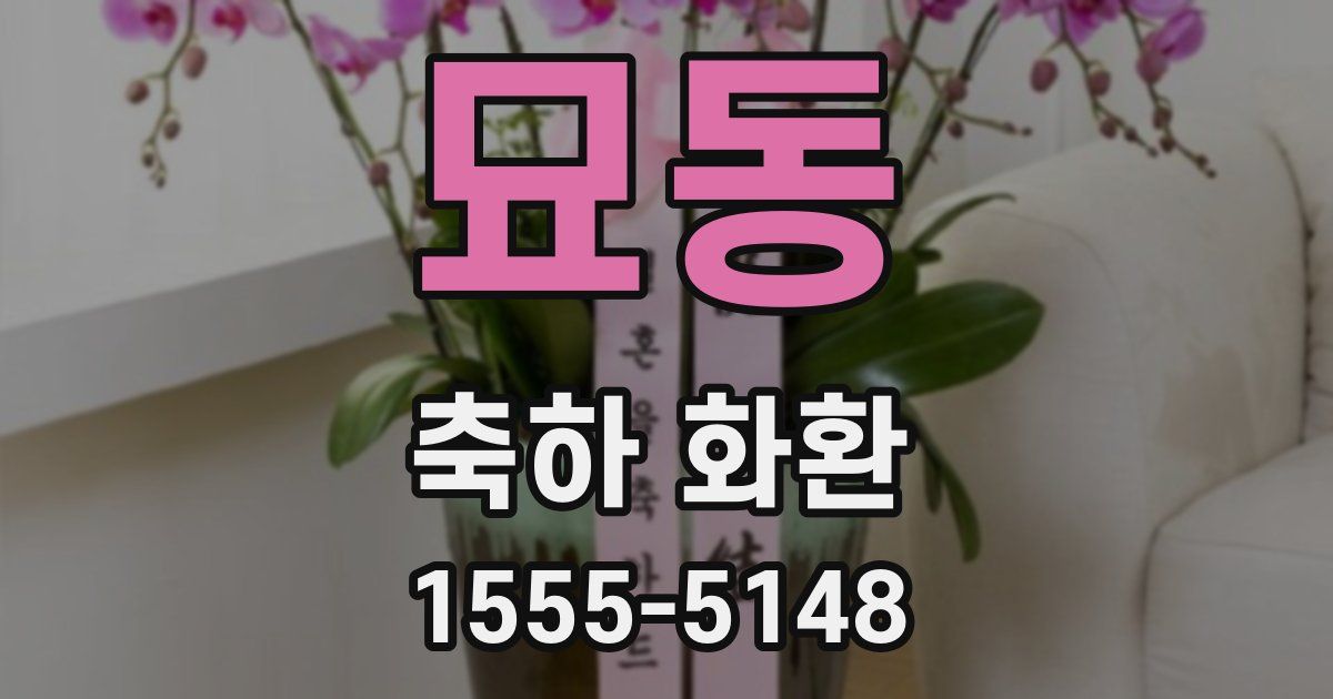 묘동 축하 화환