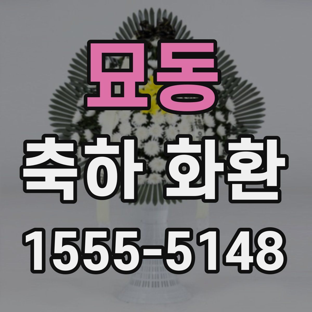묘동 축하 화환