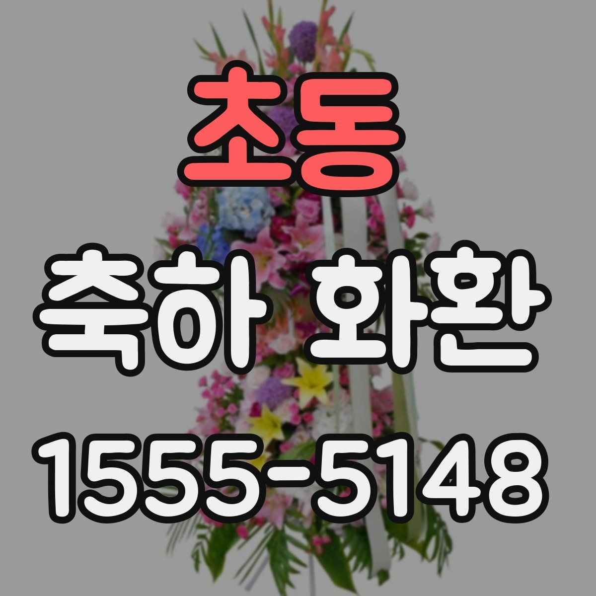 초동 축하 화환