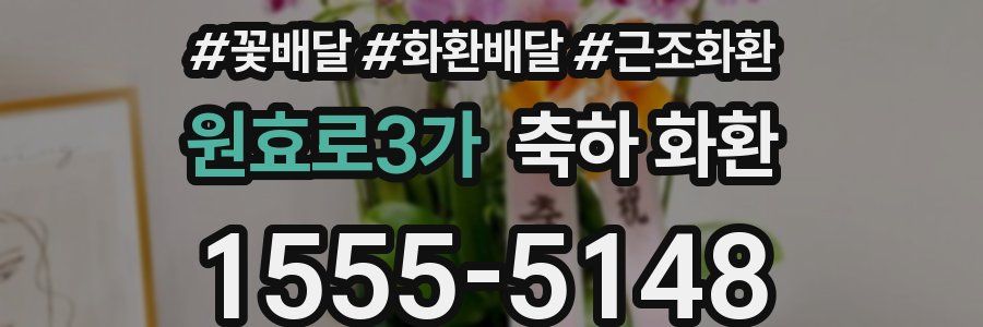 원효로3가 축하 화환